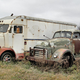 Illustration for article titled Where old Canadian trucks go to die